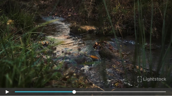 flowing stream of water
